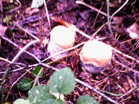 IMG_20130724_133544.jpg