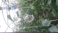 20180606_104540[1].jpg