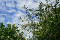 P1370265.JPG