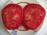 Розовый1.jpg