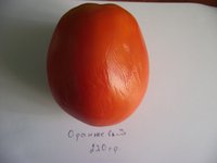 Оранжевый.jpg