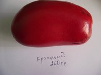 Красный.jpg