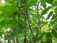 DSCN6896.JPG