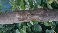 20180616_212440.jpg