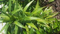 20180619_084657.jpg