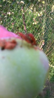 WP_20160705_003.jpg