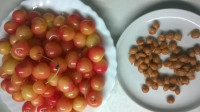 WP_20180625_002.jpg