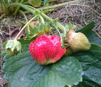 _20180630_190724.JPG