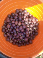IMG_20180717_094127.jpg