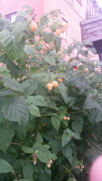 20180716_193405.jpg