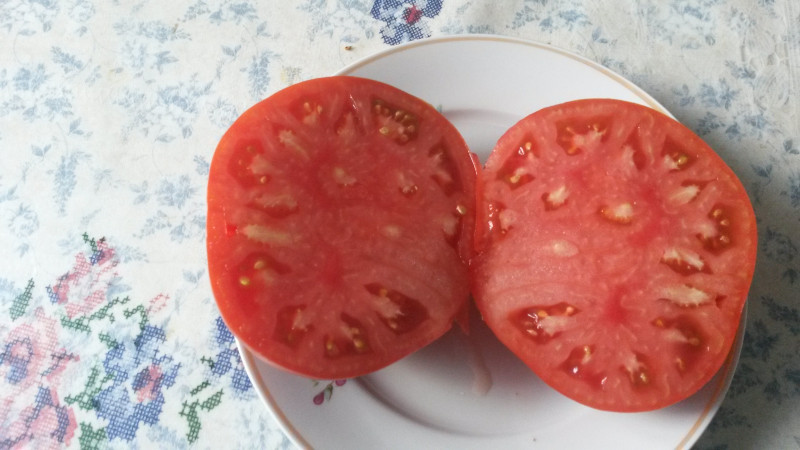 Аленушка малая на разрез