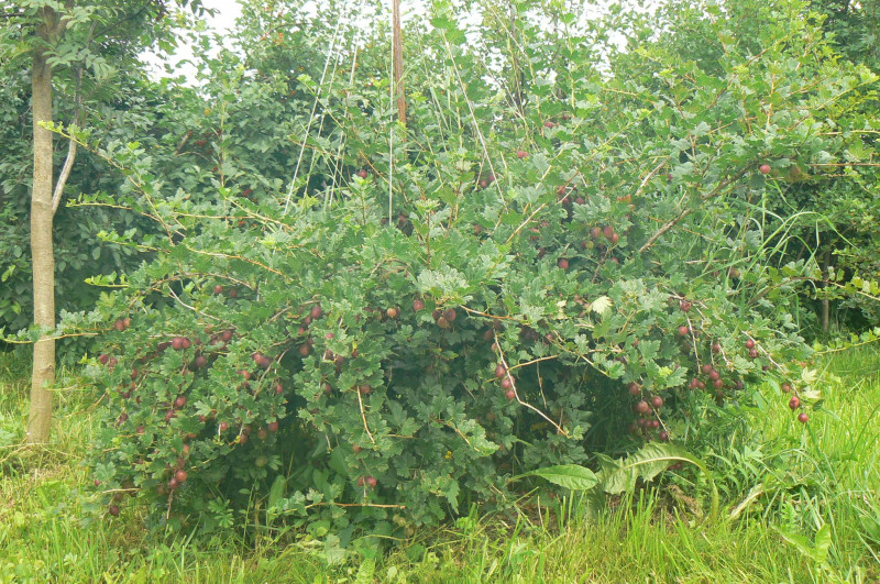 P1390083.JPG