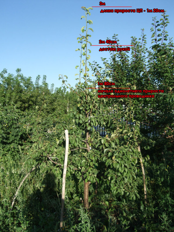 DSCF8809.jpg