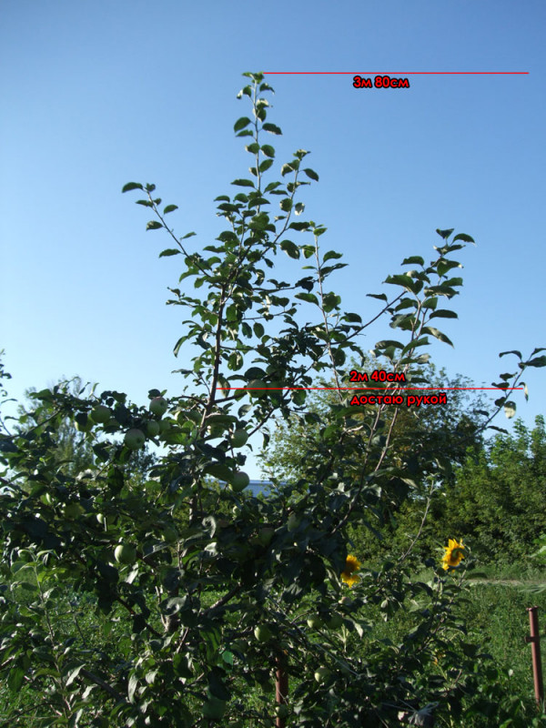 DSCF8804.jpg