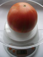 Узбекские.jpg