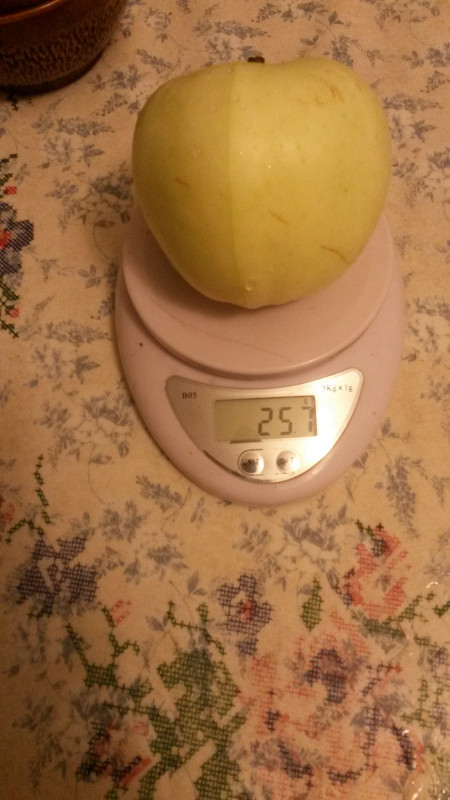 20180802_013640.jpg