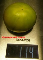 P1010234.JPG