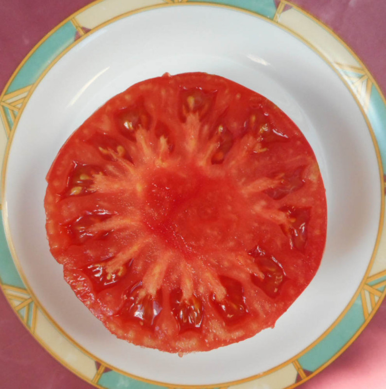 Ранняя любовь.jpg