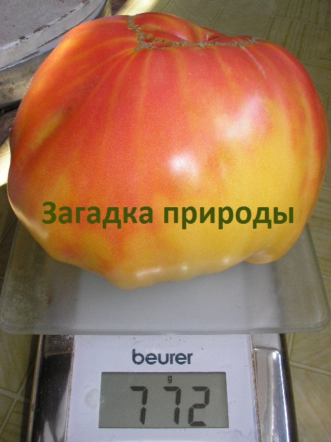P1010278~.jpg