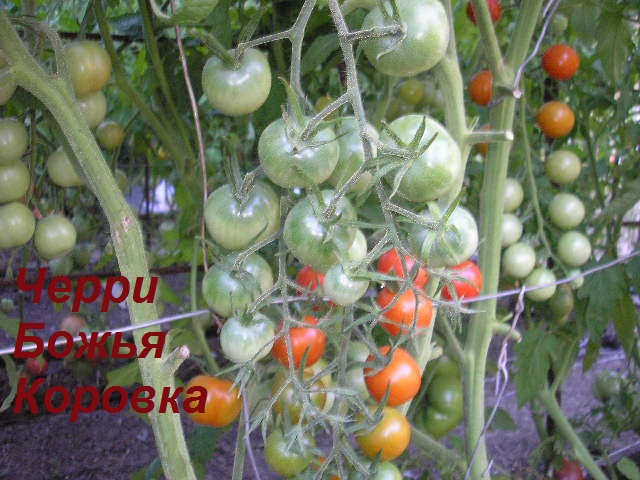 P1010074~.jpg