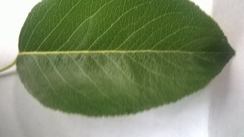 WP_20180817_003.jpg