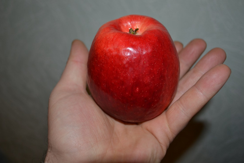 DSC_0334.JPG