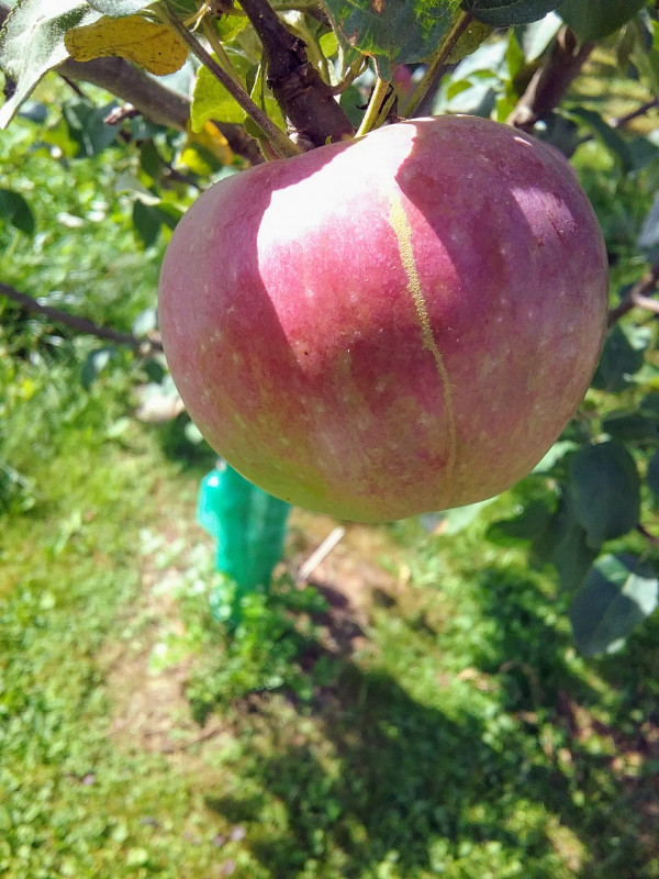 20180810_110052~2.jpg