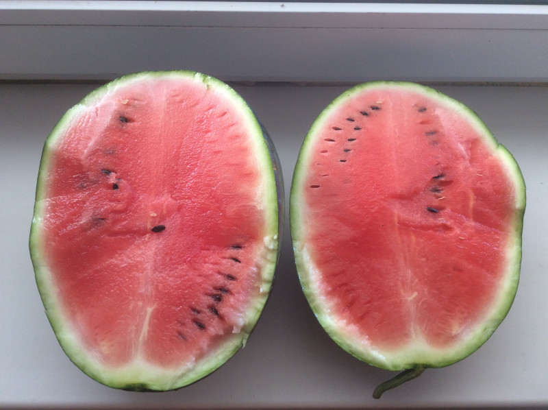 B654B62B-1B22-4AF3-B686-31D4A546EF1E.jpeg