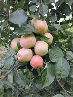 20130831_153531.jpg