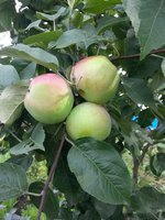 20130831_153608.jpg