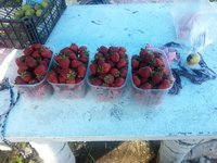 20130831_134645.jpg
