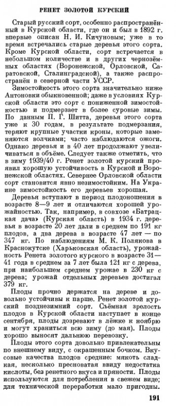 Ренет золотой.jpg