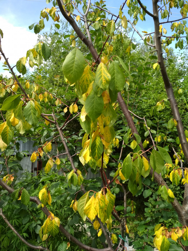 IMG_20180624_104741.jpg