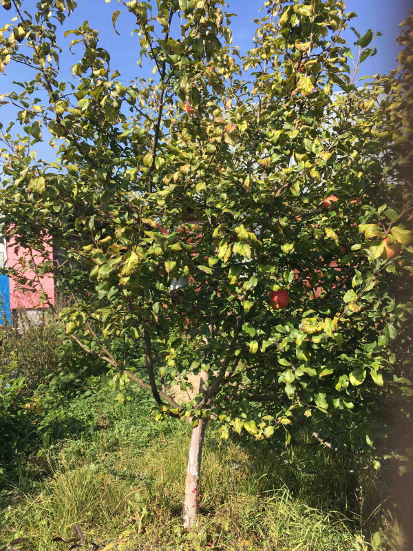 IMG_2043-09-09-18-08-03_1.jpg