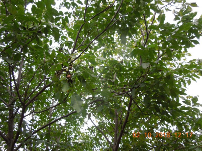 DSCN7160.JPG