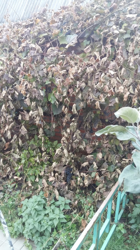 20181008_115321.jpg
