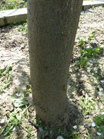 P1020515.JPG
