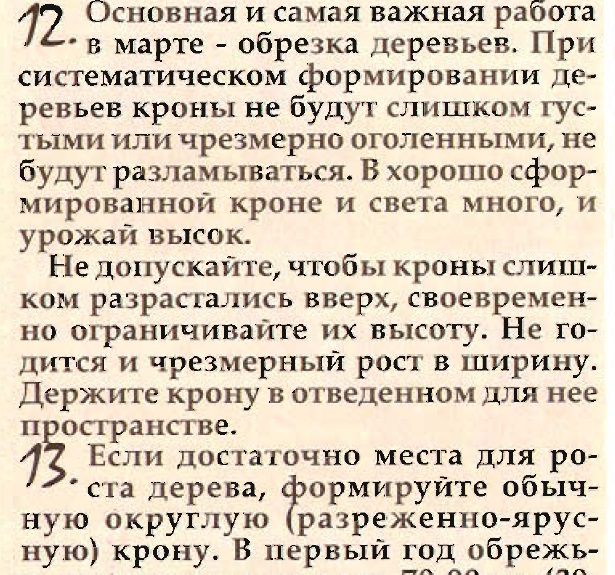 Кудрявец.jpg