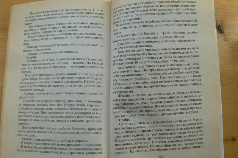 P1400911.JPG