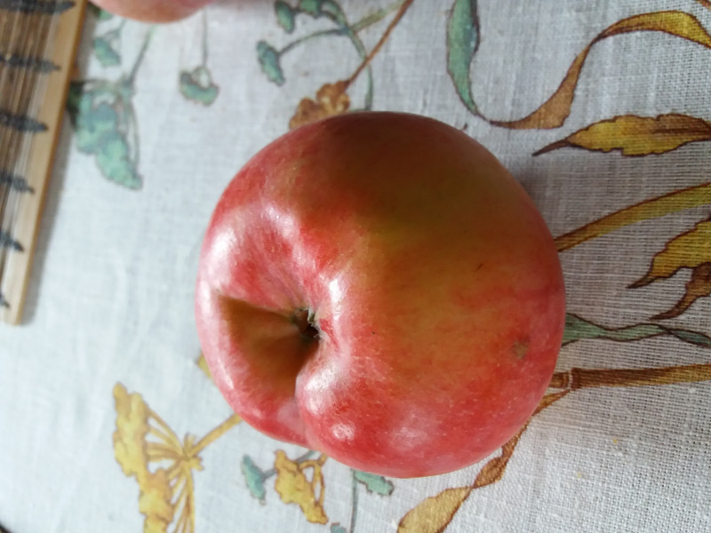 20181006_104336.jpg