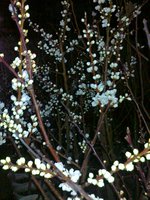 28032012189.jpg