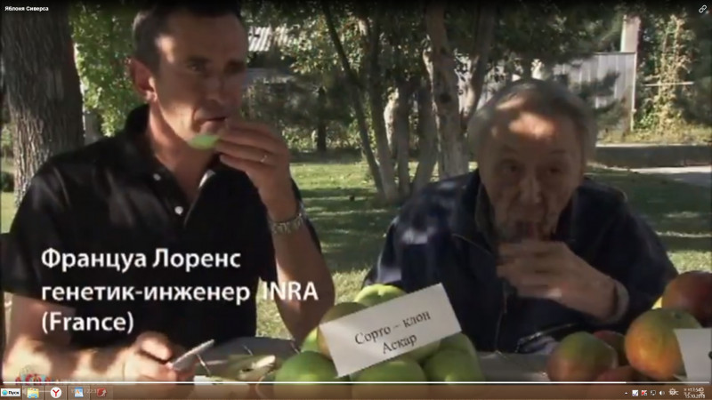 https://ok.ru/video/564320408012