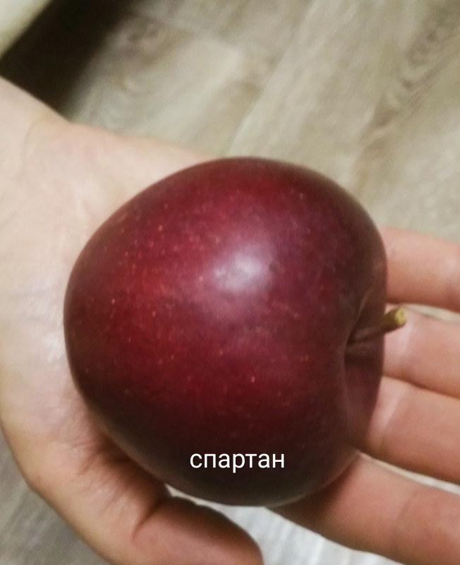 IMG_20181016_220542.jpg