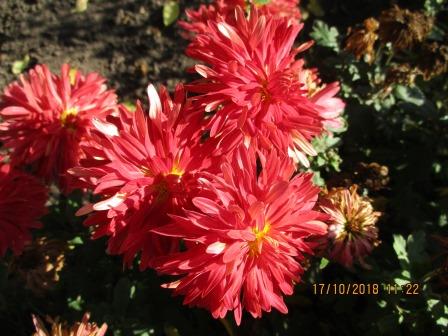 IMG_0596.JPG