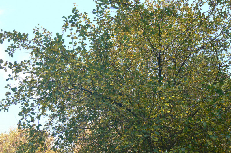 P1410064.JPG