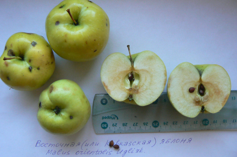 P1410083.JPG