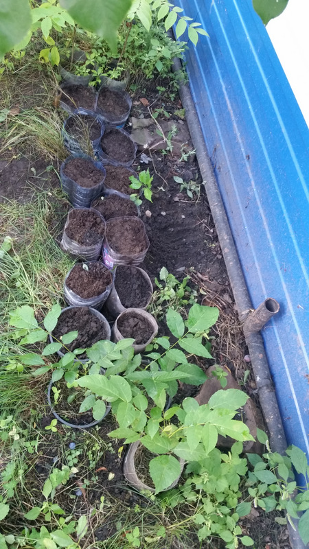 20180815_163415.jpg