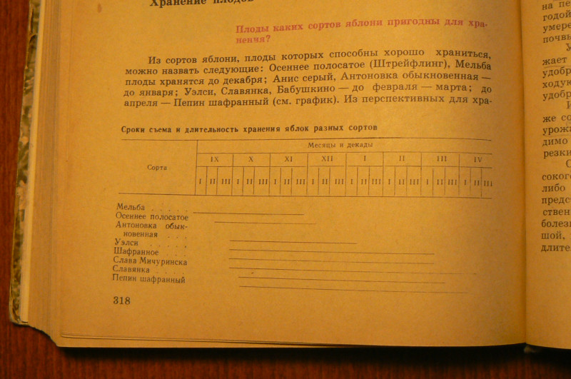 P1410161.JPG