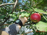 DSCN0933.JPG