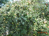 DSCN0934.JPG